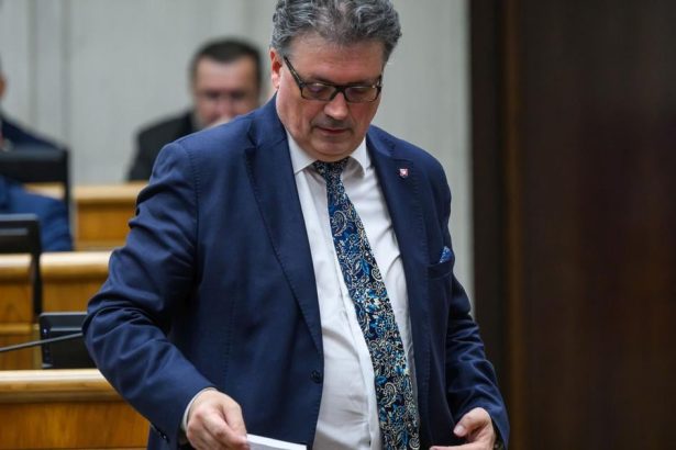 NRSR Na skolskom vybore k dvom peticiam nebolo prijate uznesenie