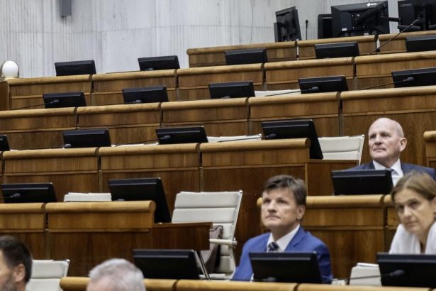 NRSR Poslanci pokracuju v schodzi debatuju o zmene UOO