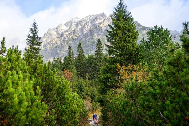 Oktober priniesol viac turistov hotely vzrastli o 6
