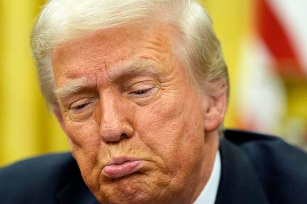 Politika sa rozhodla zautocit na vedu