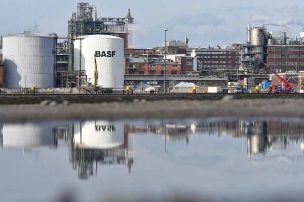 Sef koncernu BASF odmieta tvrdenia o deindustrializacii Nemecka