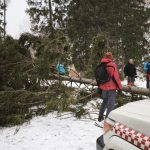 Silny vietor v Ziarskej doline vyvratil strom zasiahol turistov