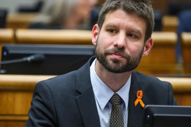 Simecka PS SaS KDH a Demokrati maju najvacsiu sancu na stabilnu vladu