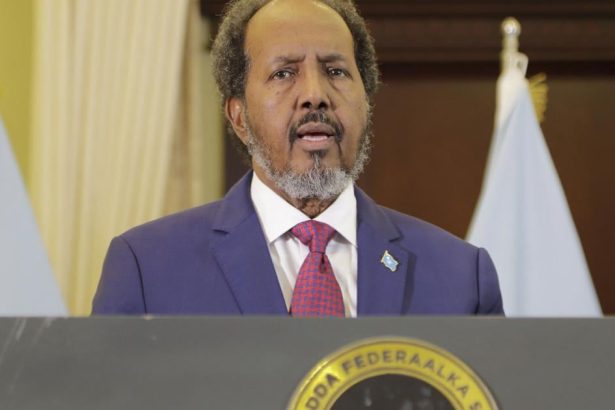 Somalsky prezident Krok Izraela uznat Somaliland ohrozuje stabilitu regionu