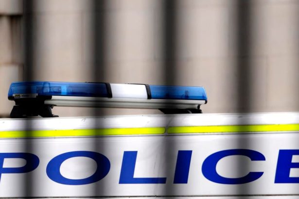 V BRITANIA Ukrajli artefakty z muzea v Bristole