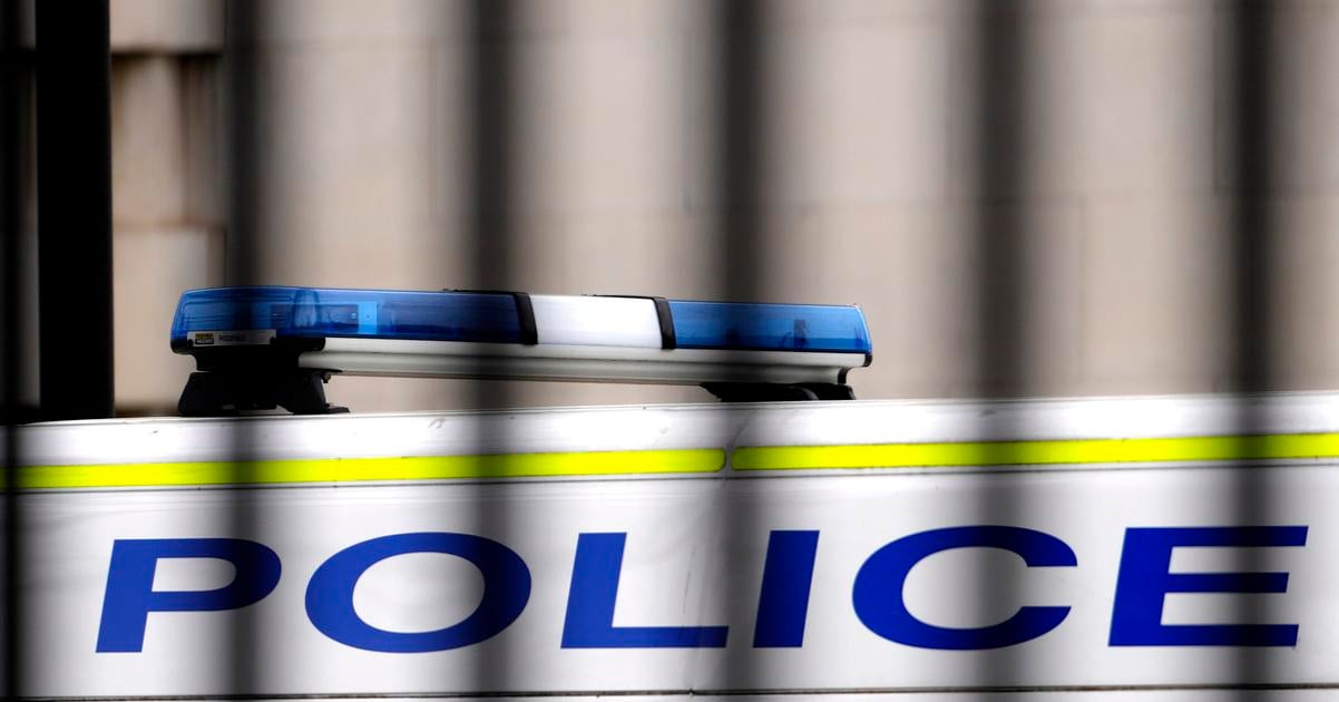 V BRITANIA Ukrajli artefakty z muzea v Bristole