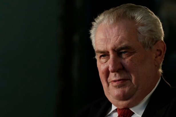 Zeman poprial nastavujucej Babisovej vlade aby sa vyvarovala amaterizmu