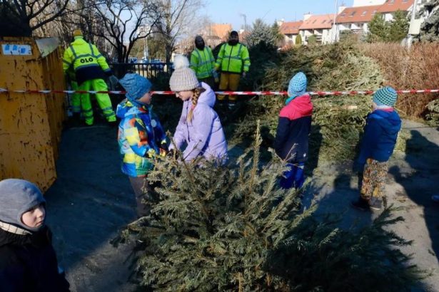 3 bezplatne aktivity v Bratislave na nasledujucich sedem dni
