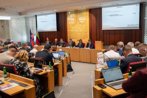 Aj tento rok sa zrejme budu volit poslanci protiustavne Ombudsman to po 33 rokoch zacal vnimat