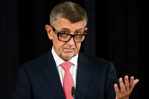Babis Urobime vsetko pre zjednotenie krajiny