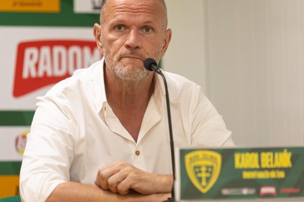 Bola nebezpecna zranitelna a zavisla na Faskovi Pripusta manazer Ziliny zmeny pocas zimy