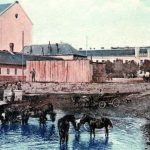 Cas neuprosne plynie