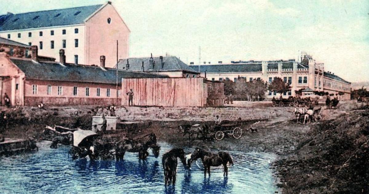 Cas neuprosne plynie