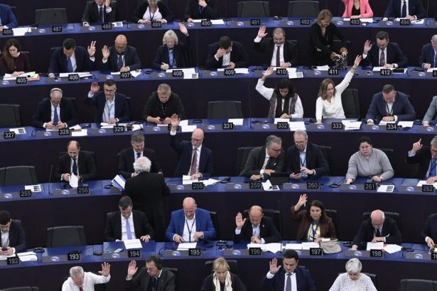 Dohoda s Mercosur Slovenski europoslanci pozaduju zaruky pre farmarov a zamestnancov