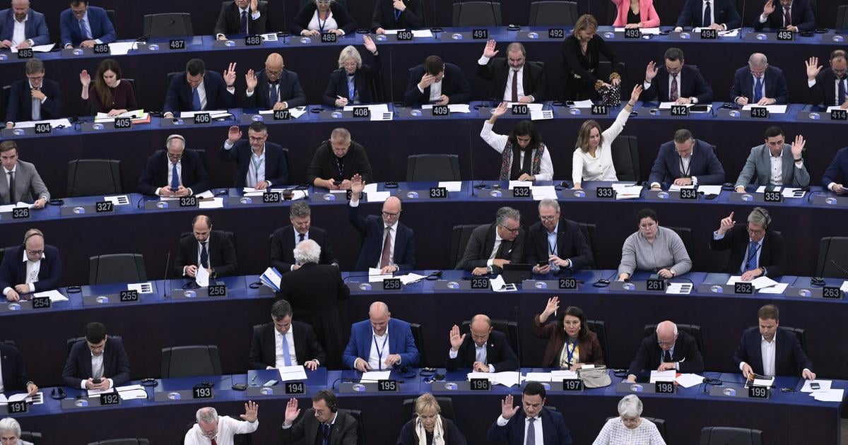 Dohoda s Mercosur Slovenski europoslanci pozaduju zaruky pre farmarov a zamestnancov