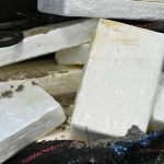 Europol Kokain sa do Evropy pasuje coraz sofistikovanejsim sposobom