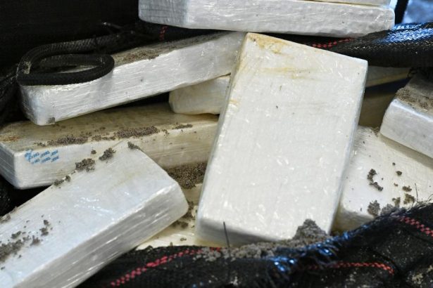 Europol Kokain sa do Evropy pasuje coraz sofistikovanejsim sposobom