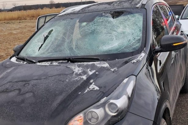 Kus ladu spadol z kamiona a zranil spolujazdkynu