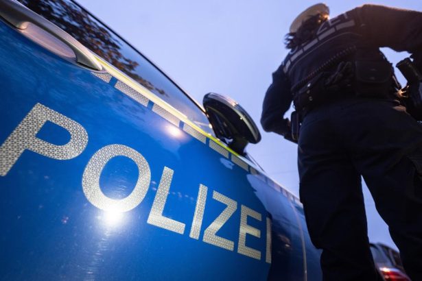 Na letisku v Berlne zadrali podozrivho s vzbami na Hamas