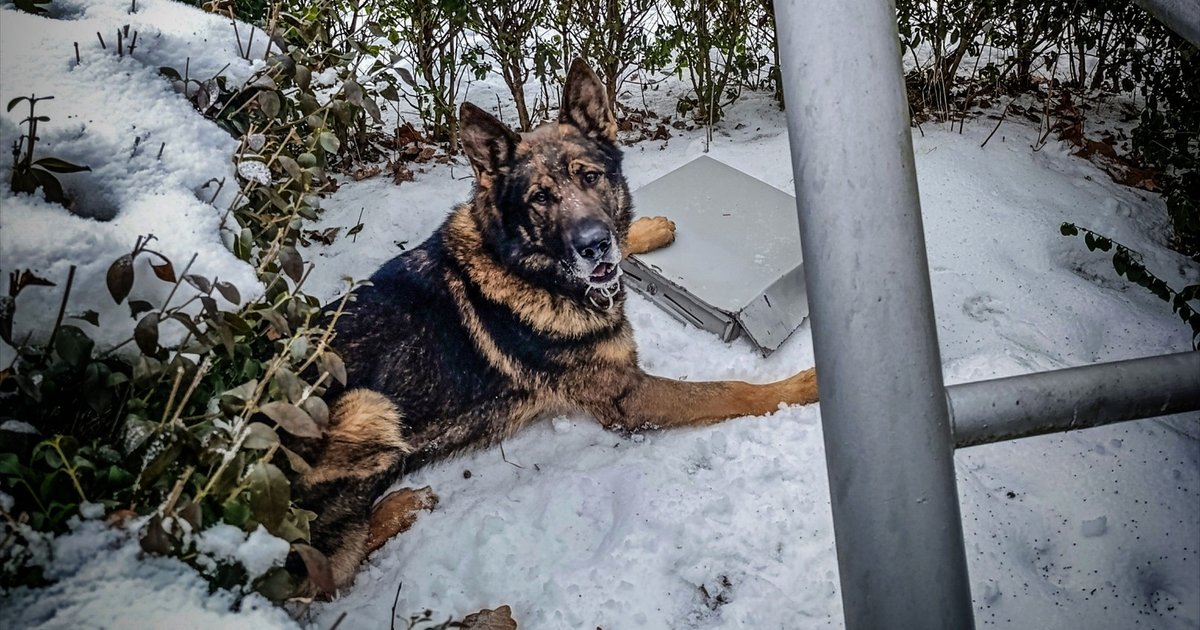 Po serii nocnych kraadezi zadrzali policajti v Trebisove dvojicu pachatelov