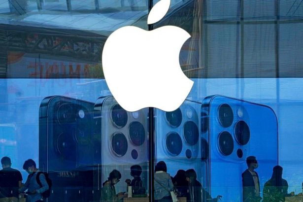 Podiel Applu na indickom trhu so smartfonmi v minulom roku vzrastol