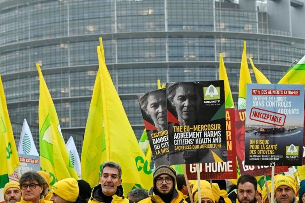 Polnohospodari neveria zarukam politikov pri obchodnej dohode s Mercosurom tvrdi Gajdos