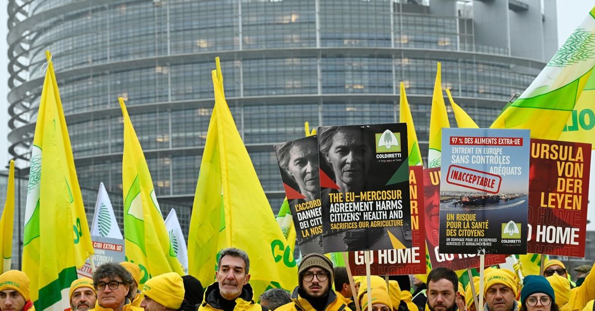 Polnohospodari neveria zarukam politikov pri obchodnej dohode s Mercosurom tvrdi Gajdos