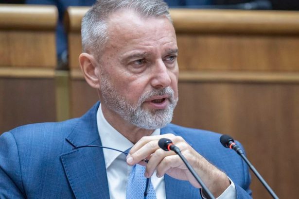 Rasi vyhlasil volbu kandidatov na sudcu Ustavneho sudu