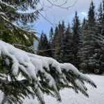 SHMU varoval pred snehovymi jazykmi a zavejmi