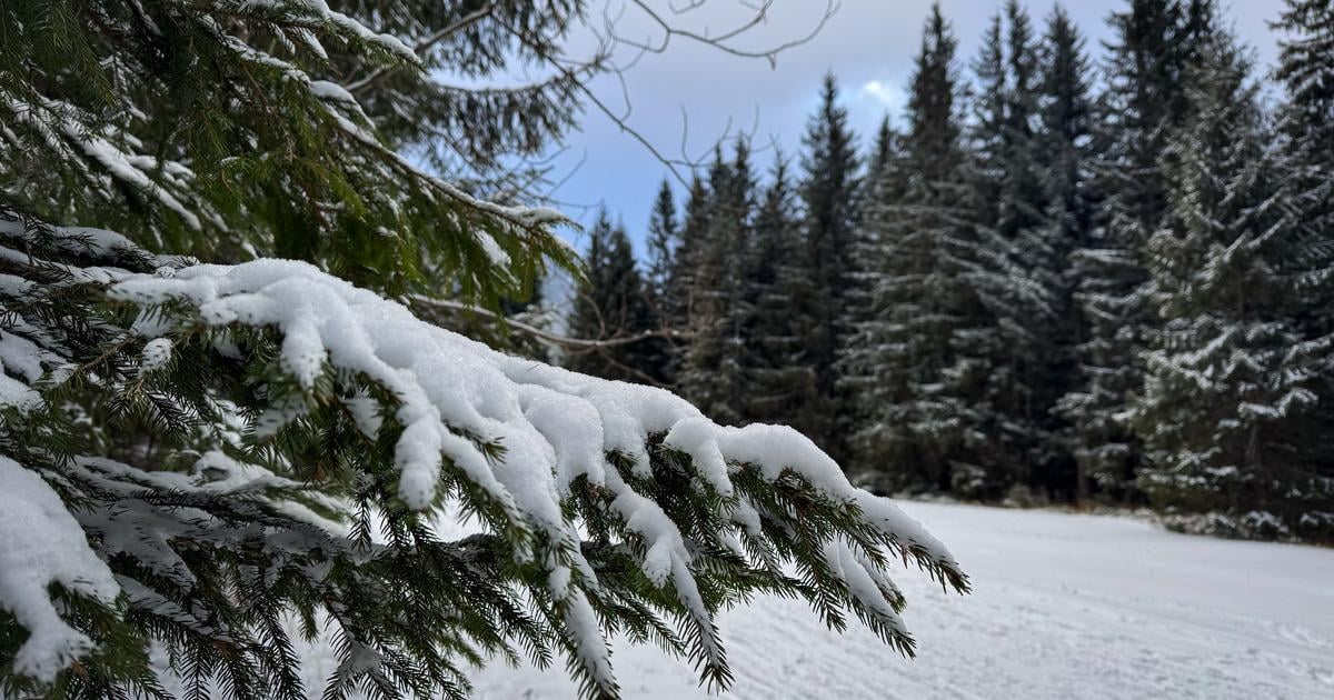 SHMU varoval pred snehovymi jazykmi a zavejmi