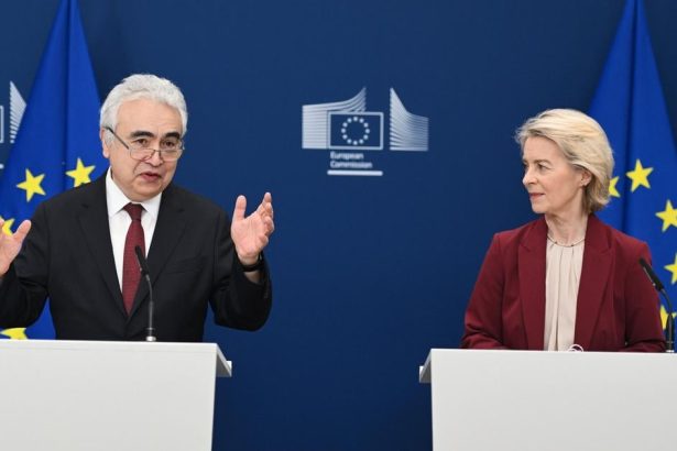 Slovensko hlasovalo proti RePowerEU bez mandatu vyboru NRSR upozornil PS