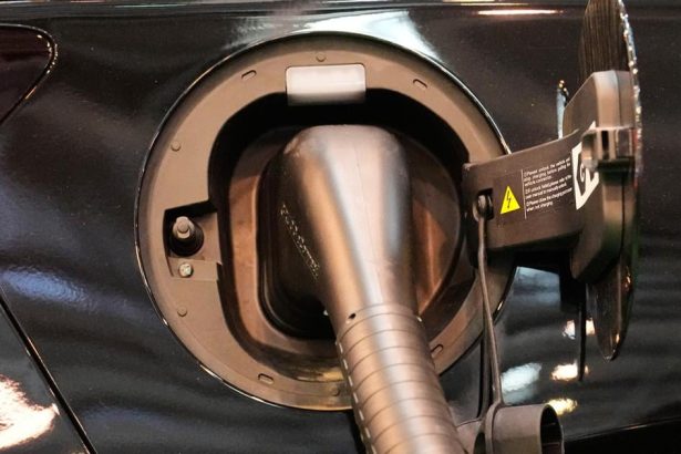 V roku 2025 bolo takmer vsetky nove auta elektricke