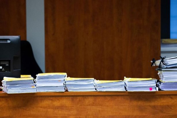 V roku 2025 sa na sudoch uzavrelo viacero pripadov