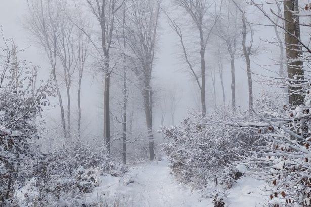 Vikend Nove objavy nas cakaju v novom roku
