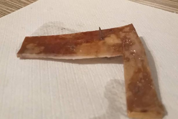 Za nastrazenie pasce pre psa hrozia roky vazenia