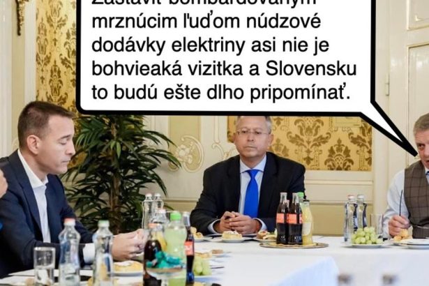 Cynicka obluda Budovanie buducej povesti Slovenska