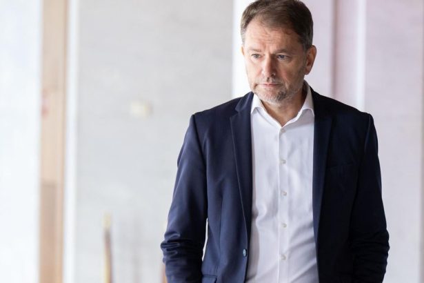 Ficovi ide o dve percenta Su to tri mandaty ktore ho mozu udrzat pri moci tvrdi Matovic