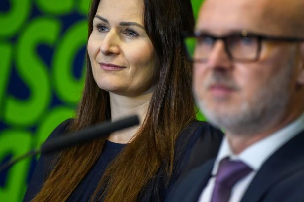 Holeckova Poslankyna kritizuje verejne obstaravanie za 40 milionov eur podla ministerstva vnutra to prispeje k zefektivneniu sluzieb