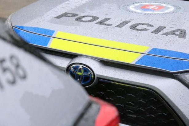 Isla na toaletu odvtedy ju nevideli Druhy zase preskocil plot Policia hlada Sanel a Filipa