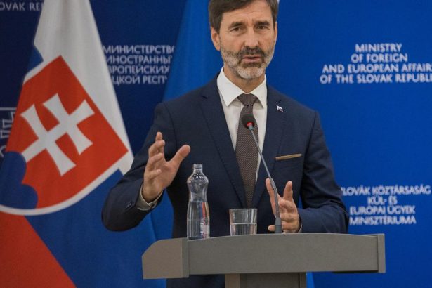 MZV Slovensko bude pozorovatelom v novovznikajucej Rade mieru Blanar sa zucastni na jej prvom zasadnuti