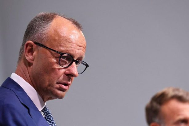 Merz Nemecko potrebuje iny typ stihaciek ako Francuzsko