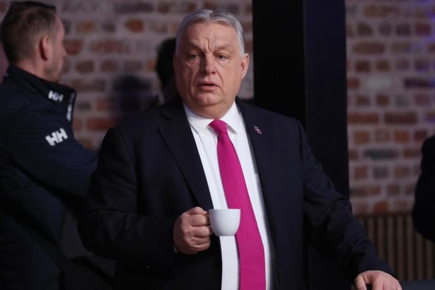 Orban zvolal Radu energetickej bezpecnosti