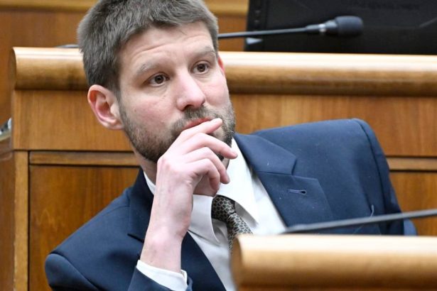 PS bude mat snem 28 marca Simecka je jedinym kandidatom na predsedu hnutia