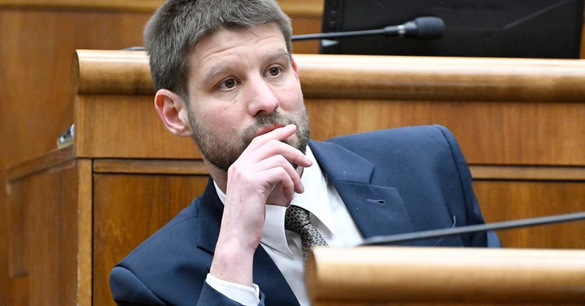 PS bude mat snem 28 marca Simecka je jedinym kandidatom na predsedu hnutia