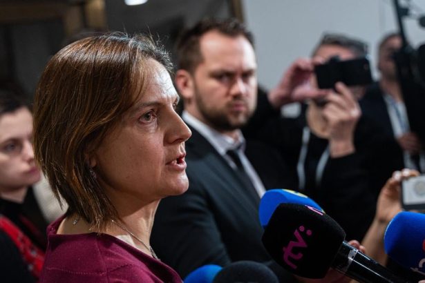 SaS podala na Fica trestne oznamenia pre zastavenie nudzovych dodavok elektriny pre Ukrajinu