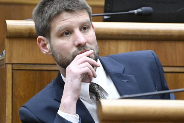 Simicka Sucasna vlada sa utokmi na moju rodinu snazi zakryt korupciu