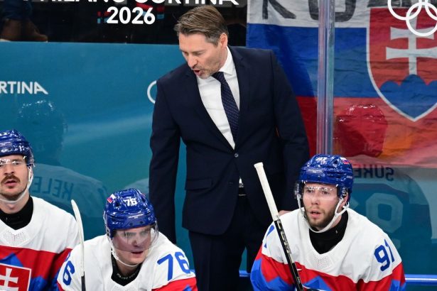 Slovakom chybala bojovnost tvrdili ceski experti Americania im nedovolili ani rozohrat