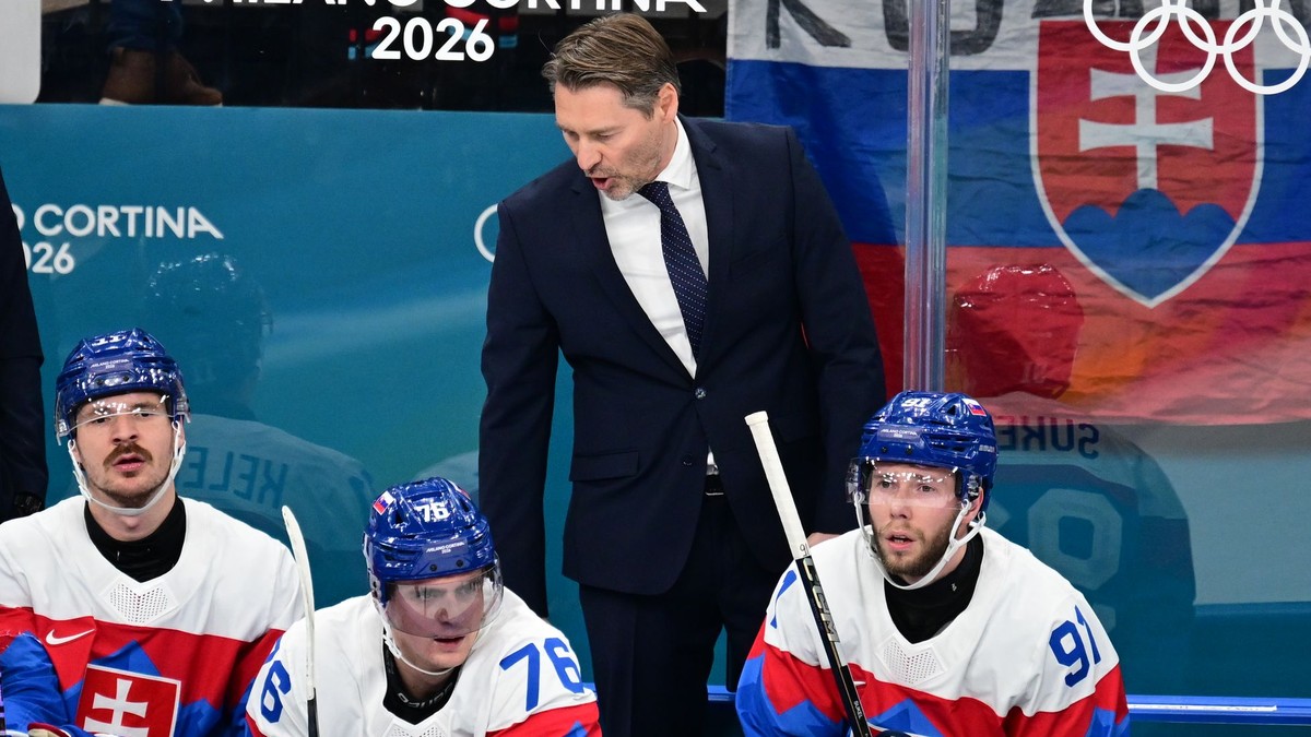 Slovakom chybala bojovnost tvrdili ceski experti Americania im nedovolili ani rozohrat