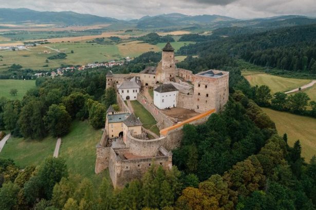Stara Lubovna Presovsky kraj planuje na hrade vybudovat sokoliarsky dvor Korzar Spis a Gemer SME