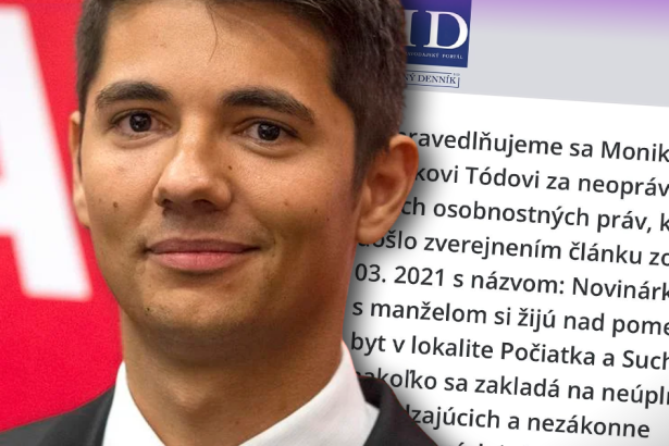 Velka kauza znameho dezinfowebu Sud zistil ze pre pisala falosna autorka Dezinfomajak 67
